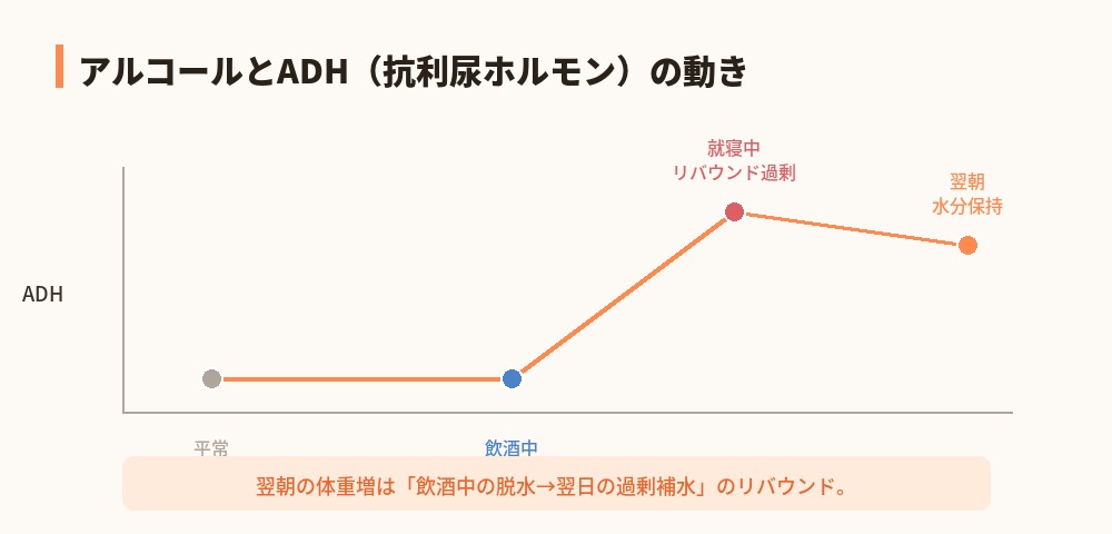 アルコールとADHの動き
