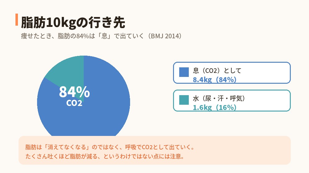 脂肪10kgの行き先：CO2として8.4kg・水として1.6kg