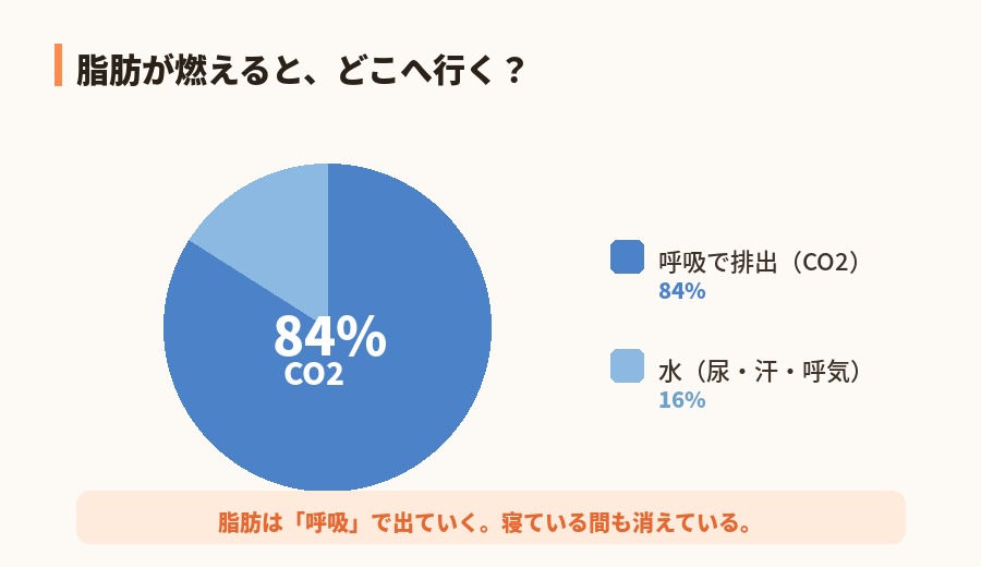 脂肪の84%はCO2で排出