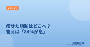 痩せた脂肪はどこへ消える？答えは「84%が息」という意外な事実