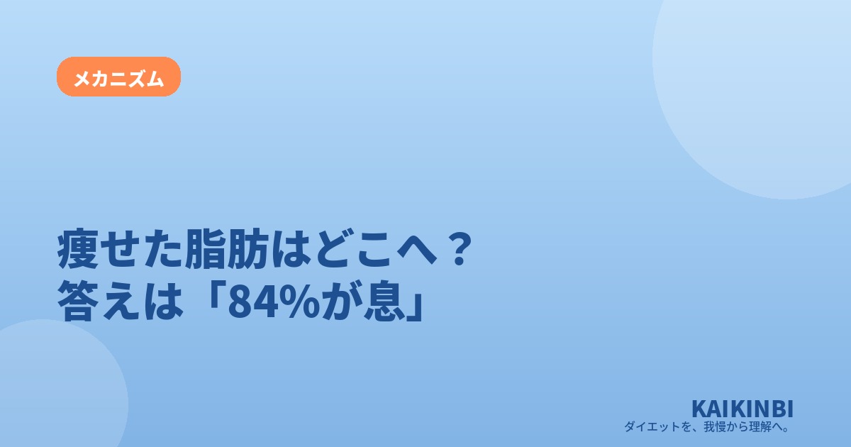 痩せた脂肪はどこへ消える？答えは「84%が息」という意外な事実