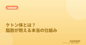 ケトン体とは？「危険」のウワサと、脂肪が燃える本当の仕組み