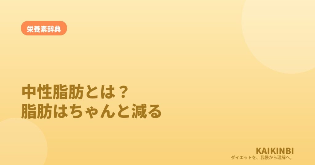 中性脂肪とは？「脂肪の本体」は溜まるだけでなく、ちゃんと減る