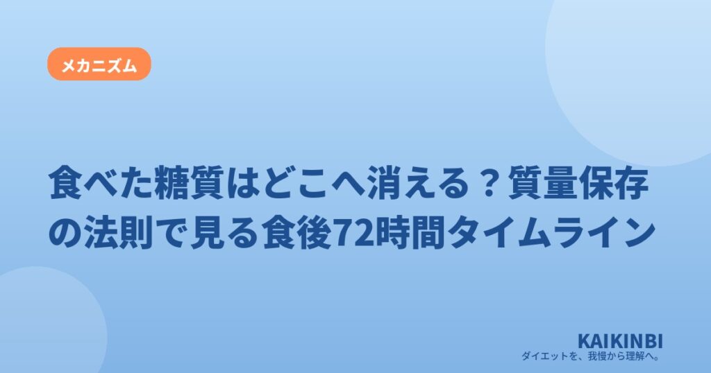 食べた糖質はどこへ消える？質量保存の法則で見る食後72時間タイムライン