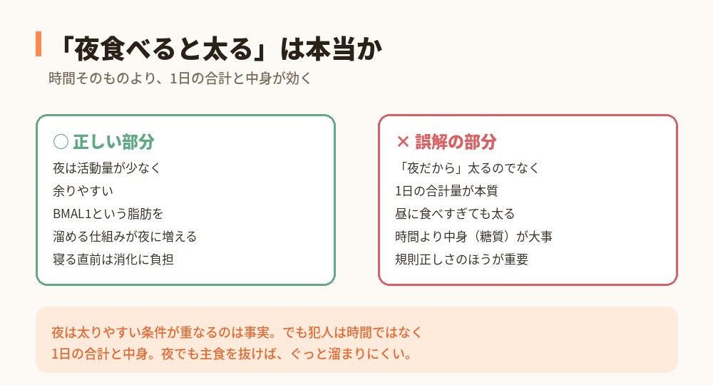 夜食べると太るの正しい部分と誤解の部分の比較
