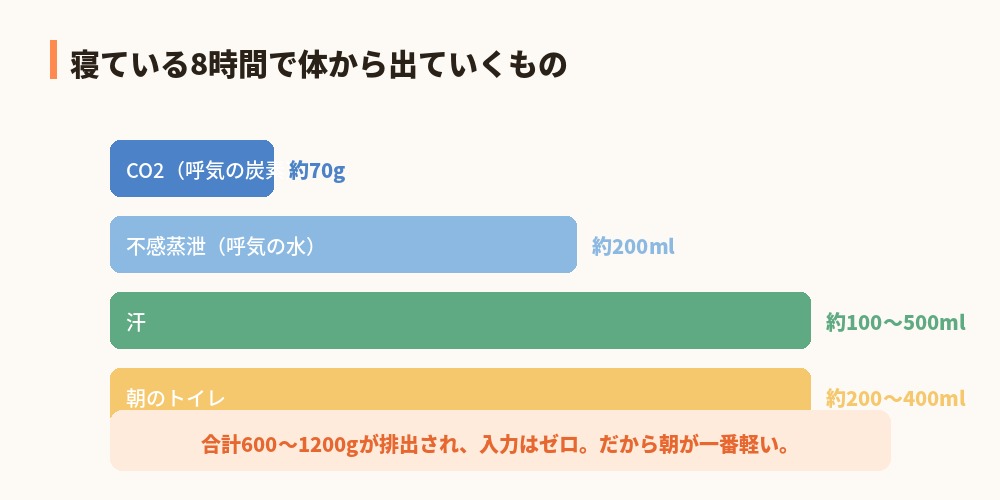 寝ている間に出ていくもの