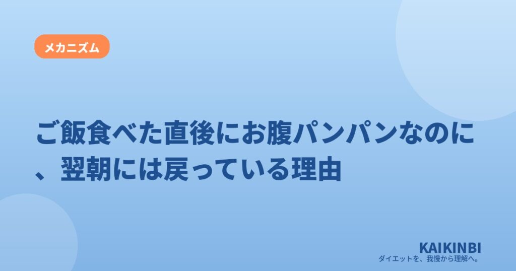 ご飯食べた直後にお腹パンパンなのに、翌朝には戻っている理由