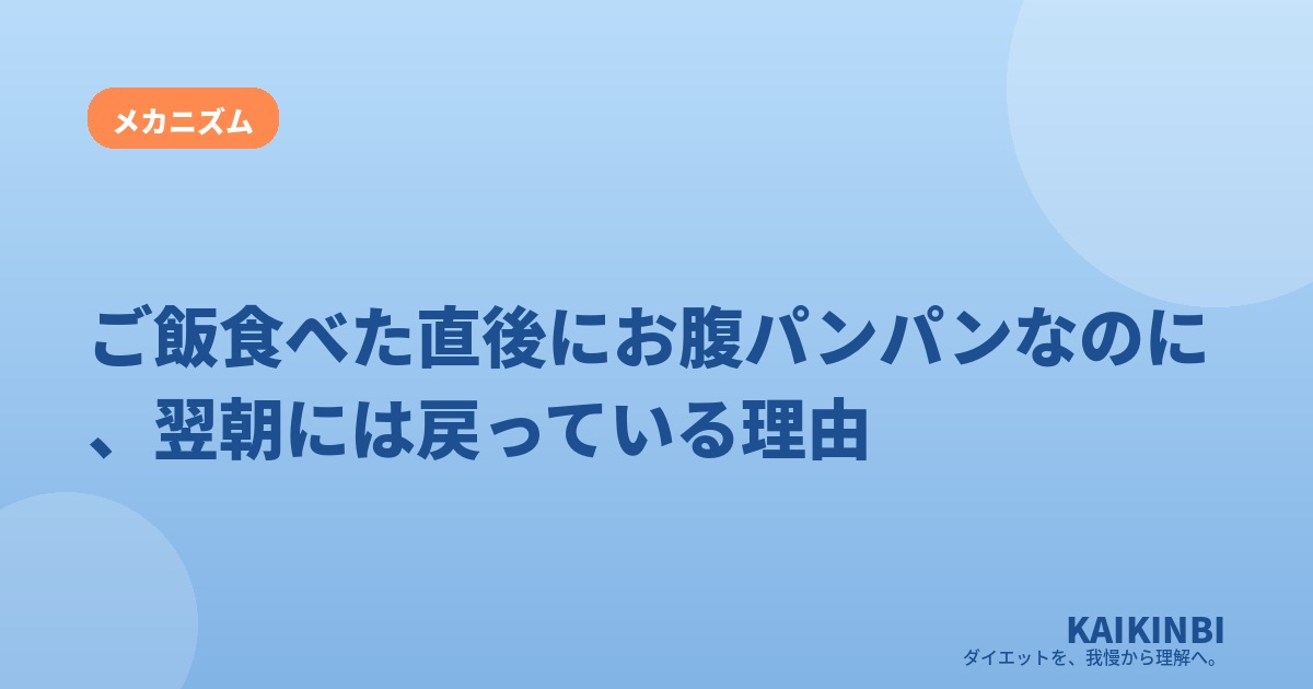 ご飯食べた直後にお腹パンパンなのに、翌朝には戻っている理由