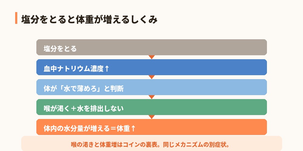 塩分で体重が増えるしくみ
