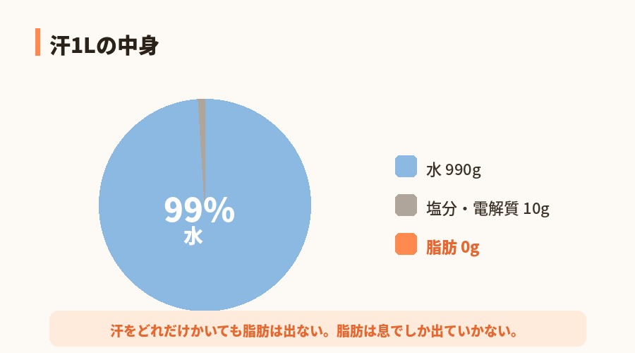 汗1Lの中身