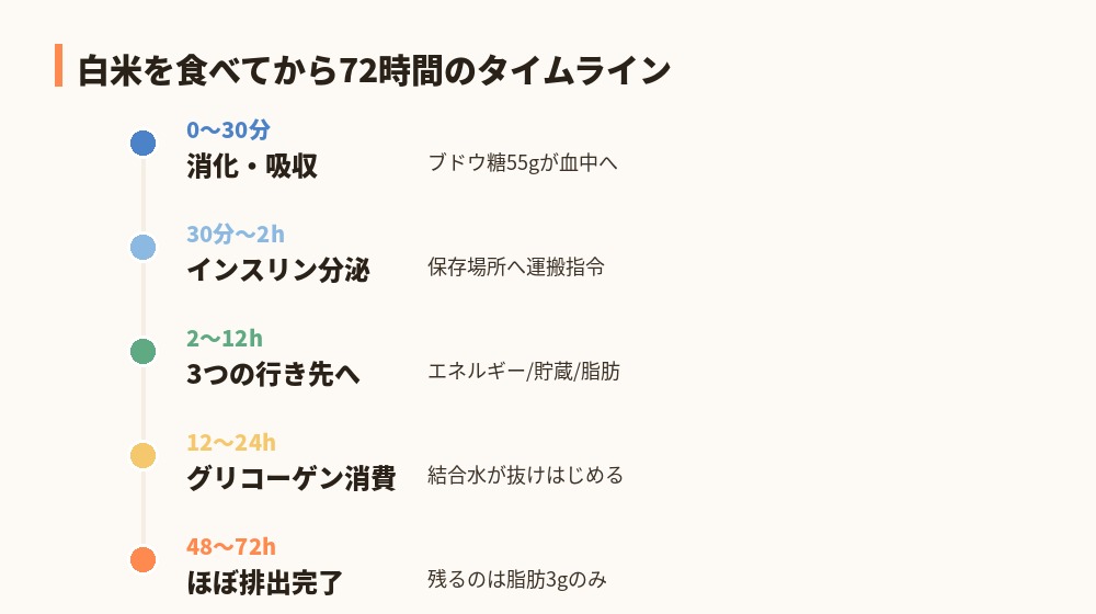 食後72時間タイムライン